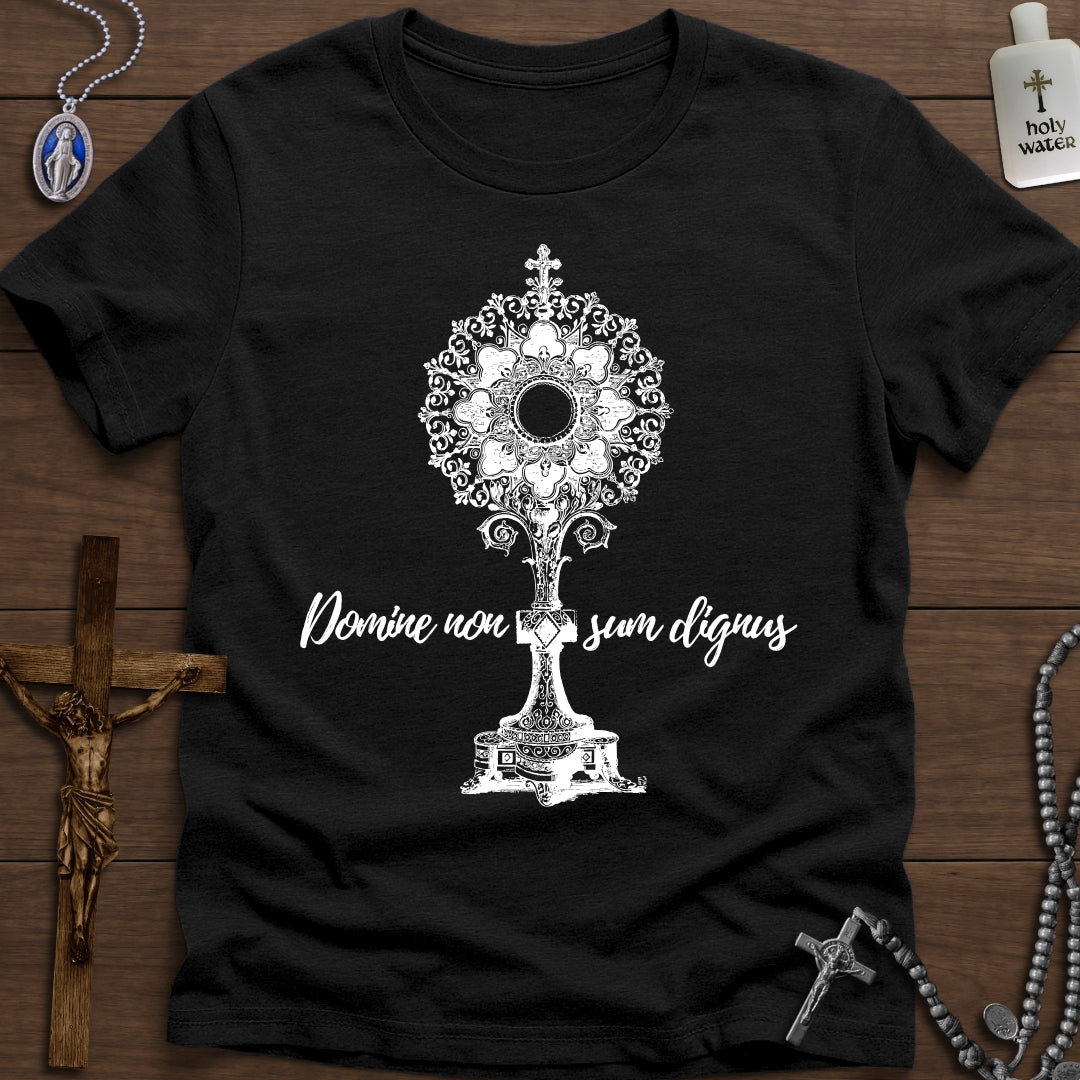 Domine, Non Sum Dignus