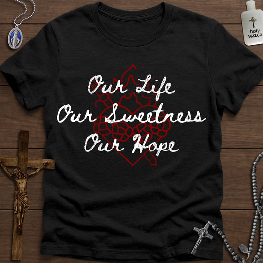 Hail Holy Queen...